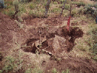 The Dig.